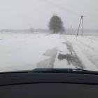 zdjęcie nr 12