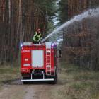 zdjęcie nr 89