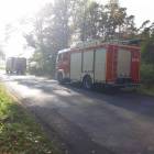 Fotka nr 2 z 3