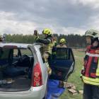 zdjęcie nr 15