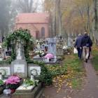 zdjęcie nr 17