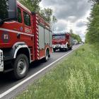 Fotka nr 1 z 3