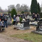 zdjęcie nr 13
