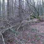 zdjęcie nr 56