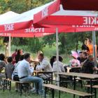 zdjęcie nr 45
