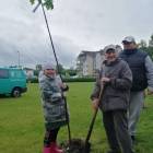 zdjęcie nr 36