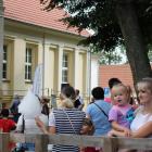 zdjęcie nr 14