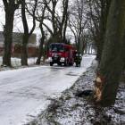 zdjęcie nr 7