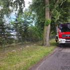 Fotka nr 2 z 4