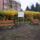 zdjęcie nr 8