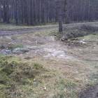 Fotka nr 2 z 3