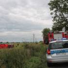 zdjęcie nr 7