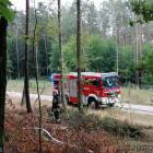 Fotka nr 4 z 18
