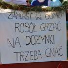 zdjęcie nr 45