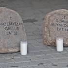 zdjęcie nr 36