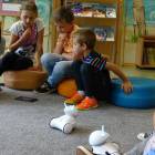 Fotka nr 5 z 27
