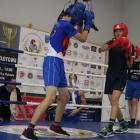 Fotka nr 4 z 93