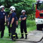 zdjęcie nr 42
