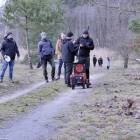 zdjęcie nr 14