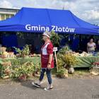 zdjęcie nr 35