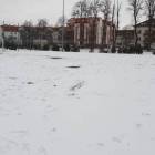Fotka nr 1 z 2