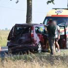 Fotka nr 2 z 5