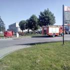 zdjęcie nr 37