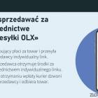 Fotka nr 2 z 11