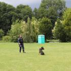 zdjęcie nr 22