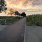zdjęcie nr 15