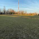 Fotka nr 4 z 13