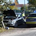Fotka nr 5 z 8
