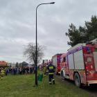 zdjęcie nr 8