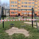 Fotka nr 5 z 14