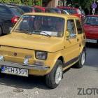 zdjęcie nr 113