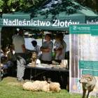 zdjęcie nr 38
