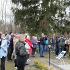 zdjęcie nr 24