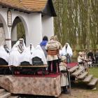 zdjęcie nr 46