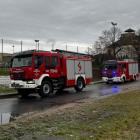 Fotka nr 2 z 4