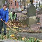 zdjęcie nr 16