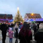 zdjęcie nr 13