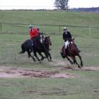 zdjęcie nr 28