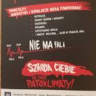 Fotka nr 3 z 4