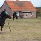 zdjęcie nr 85