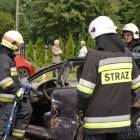 zdjęcie nr 237