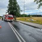Fotka nr 1 z 2