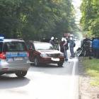 zdjęcie nr 7