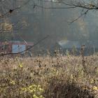 zdjęcie nr 4