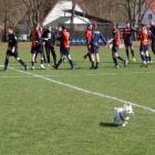 zdjęcie nr 78