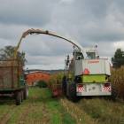 zdjęcie nr 31